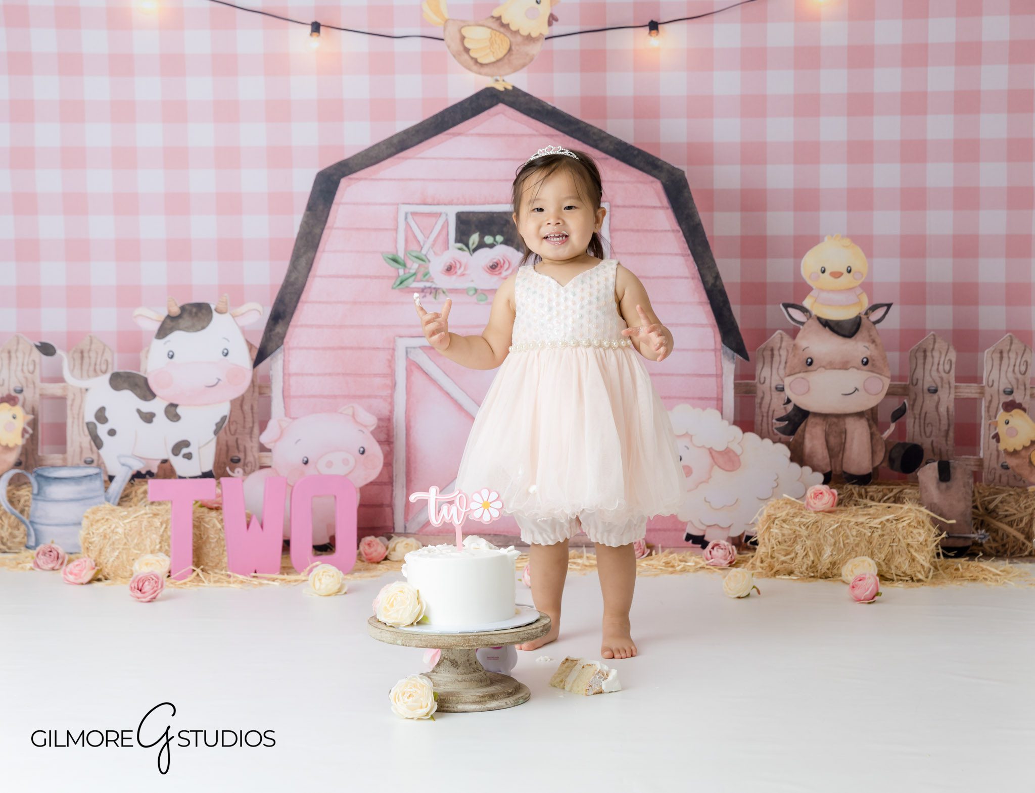 Newport Beach child photographer pink barn cake session, Girly farm cake smash portrait ideas for 2-year-old, 2nd birthday photography ideas with pink rustic barn theme