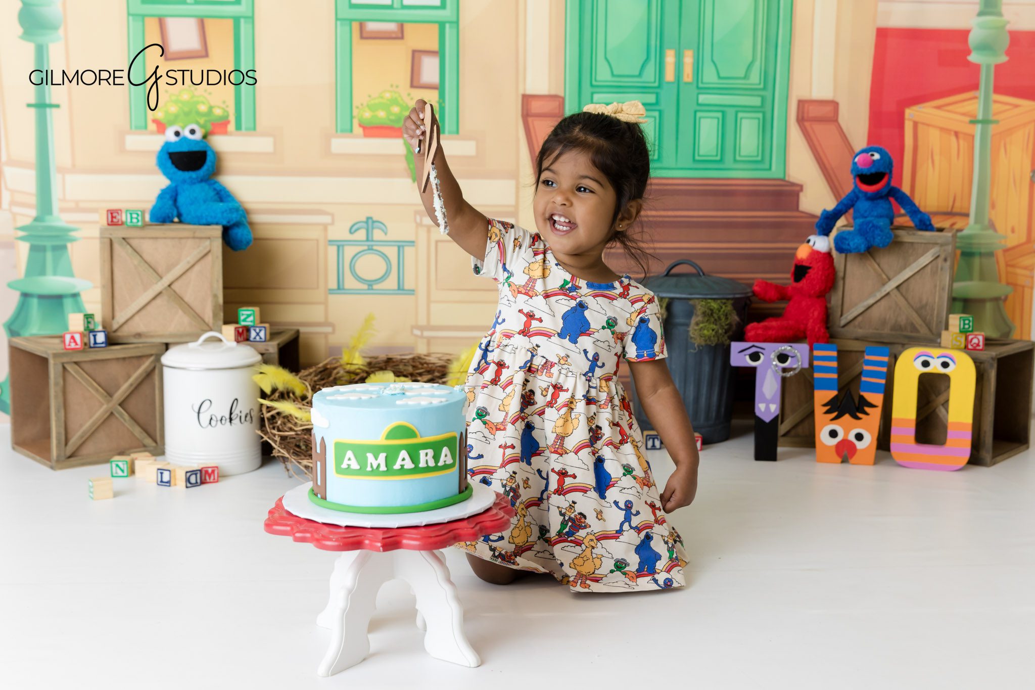 Newport Beach Sesame Street birthday party photos, 2nd birthday photographer for Sesame Street theme