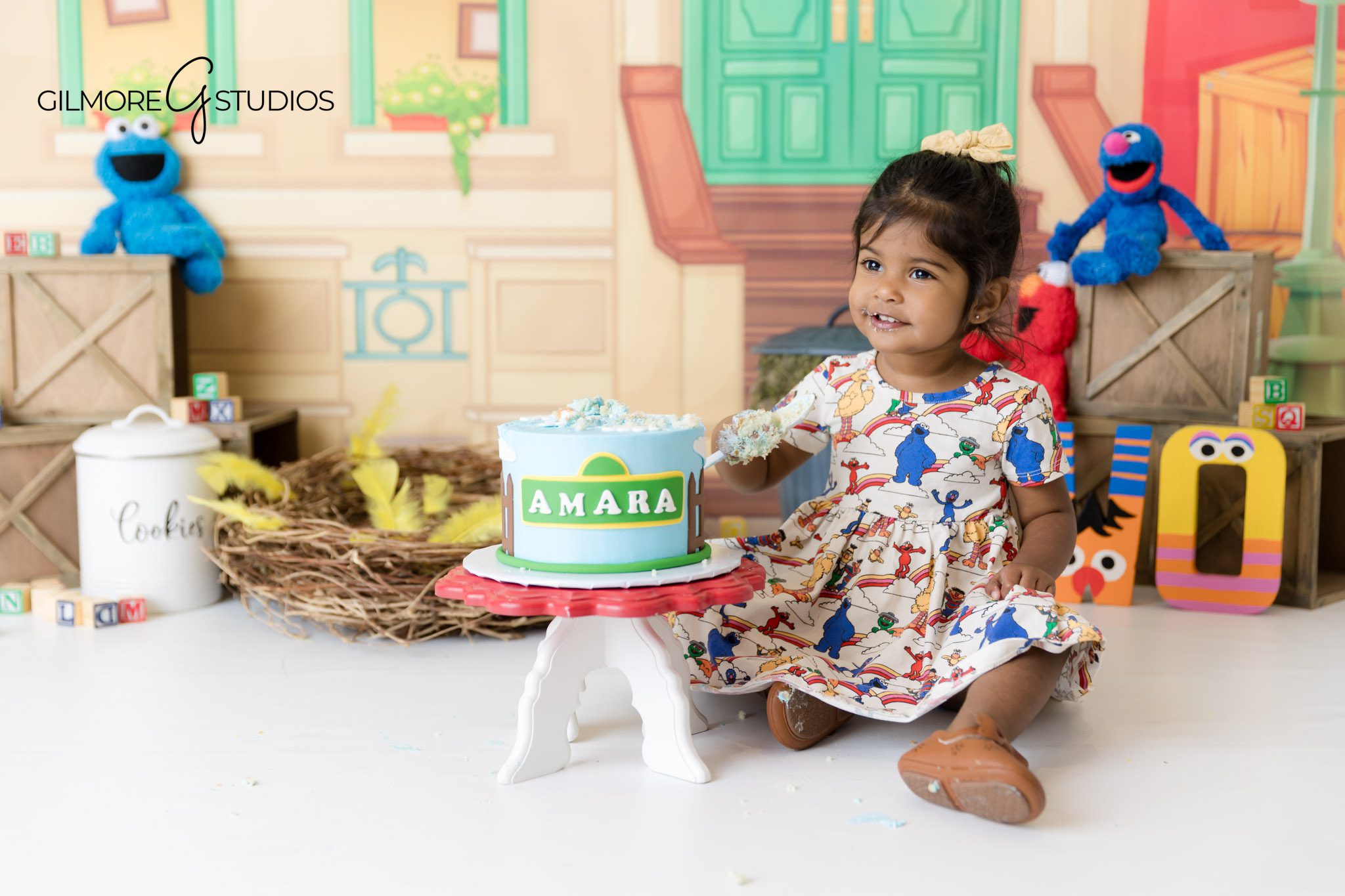 Photography for Sesame Street birthday celebration, Elmo themed 2nd birthday session photography ideas