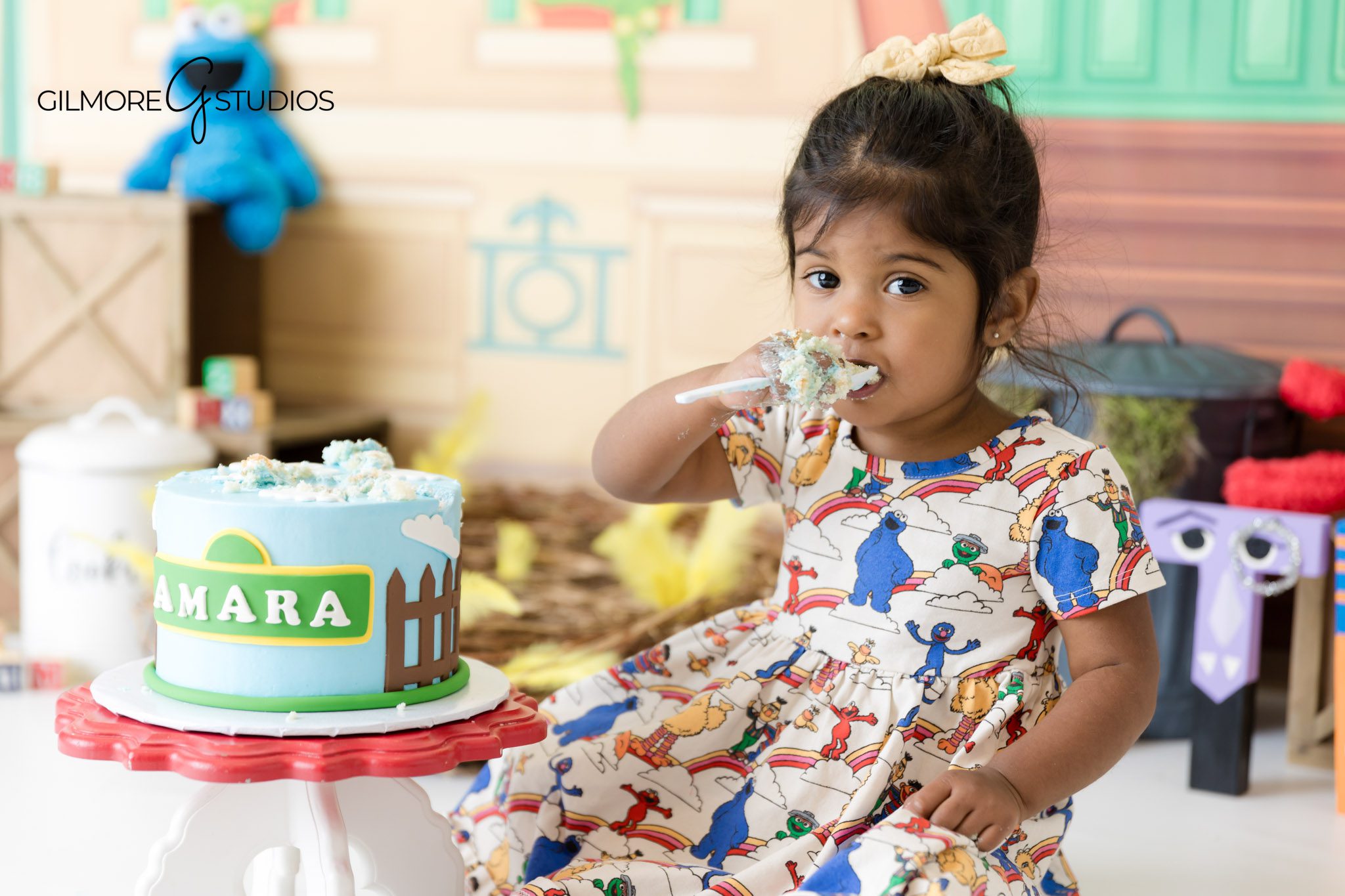 Professional birthday photographer Sesame Street theme, Newport Beach toddler birthday party portraits