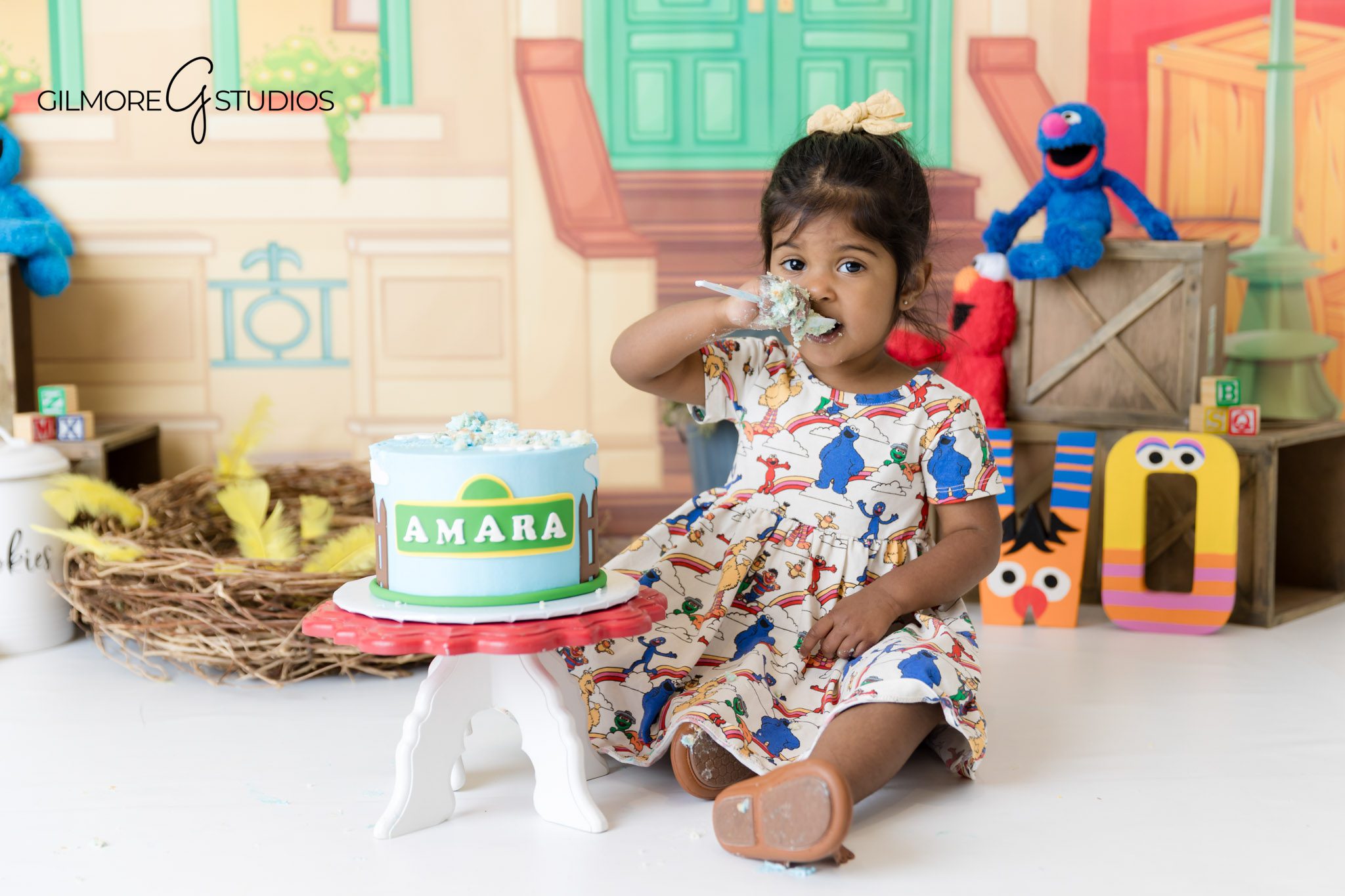 Studio portrait of toddler Sesame Street party, Themed birthday photographer Newport Beach studio