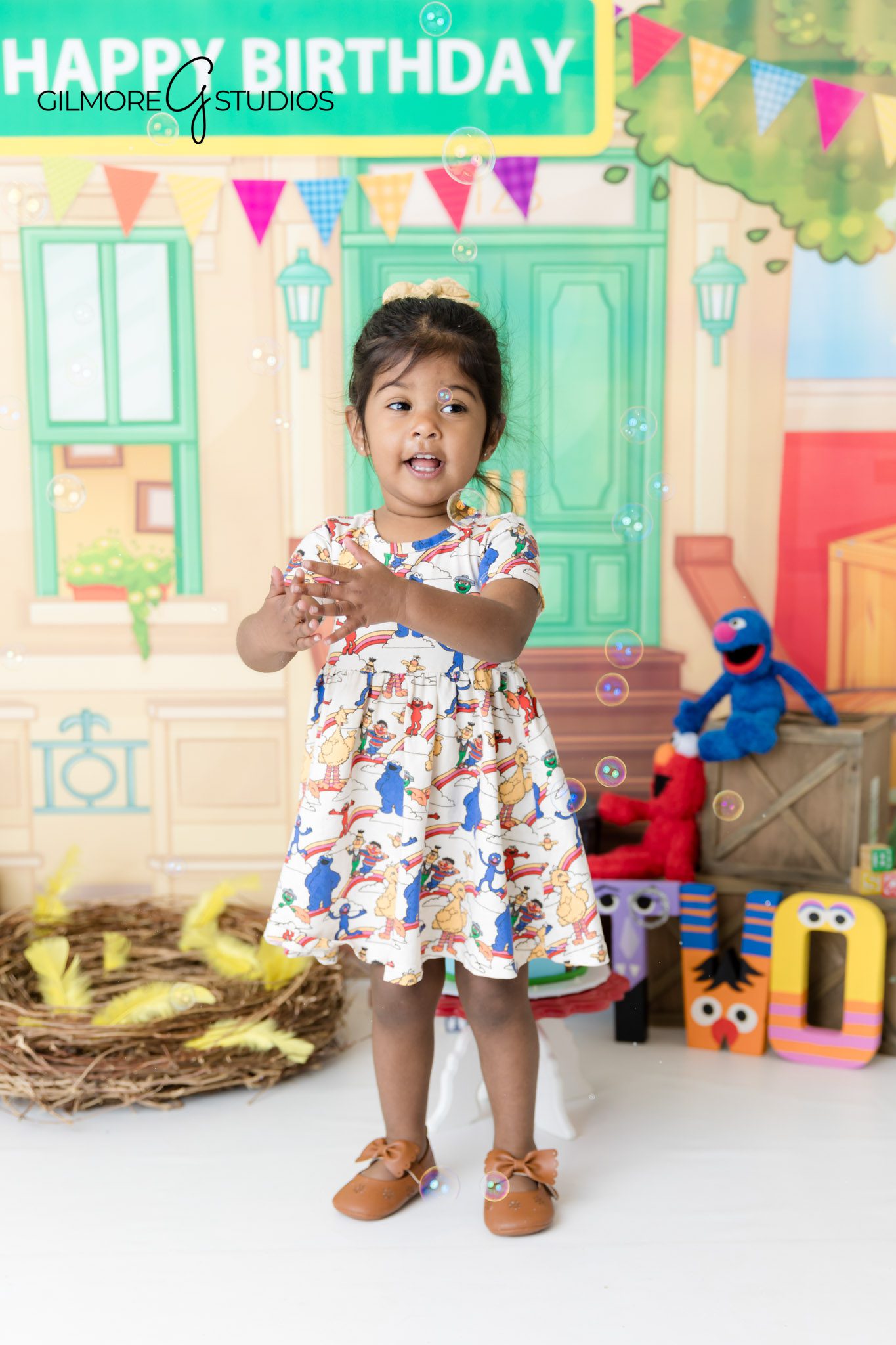 Toddler birthday party portraits with Sesame Street, Newport Beach toddler birthday photographer with theme