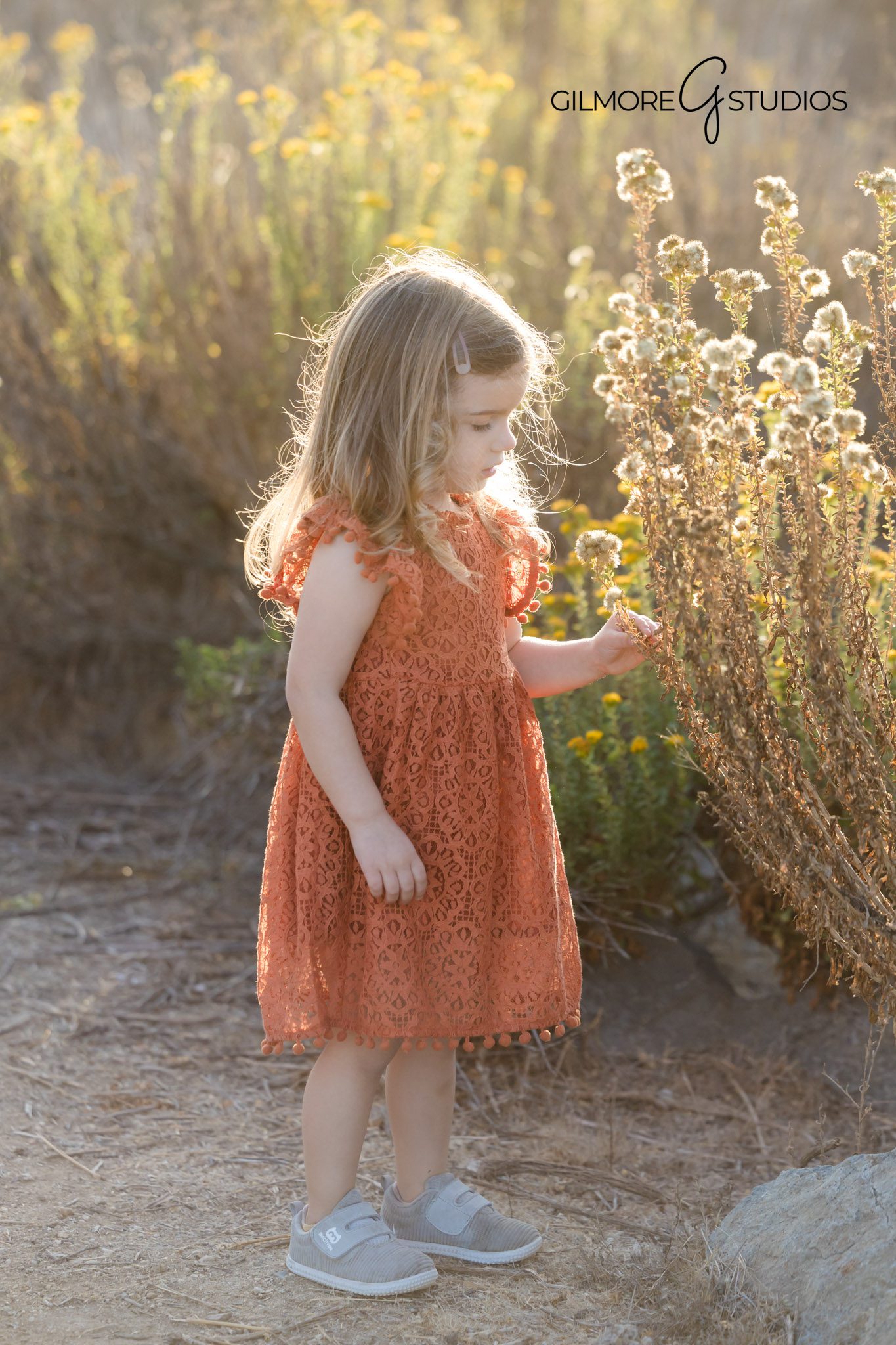 Three-year-old milestone portraits Queen Creek Arizona photographer

Fun birthday photography for toddlers Queen Creek AZ Gilmore Studios