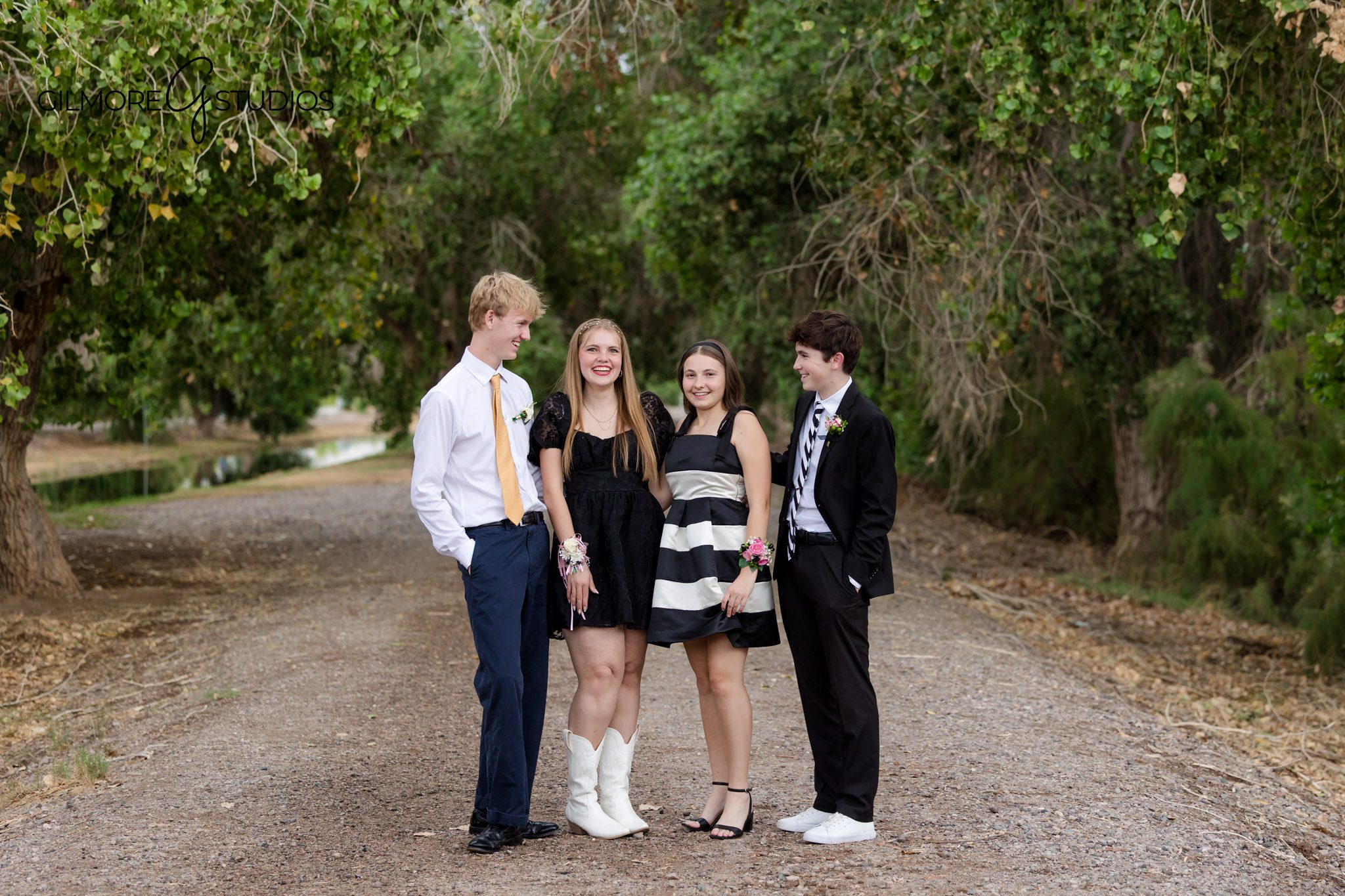 Professional homecoming photographer Gilbert Queen Creek AZ Gilmore Studios portraits

Homecoming dance photos Gilbert Arizona professional photographer teen portraits