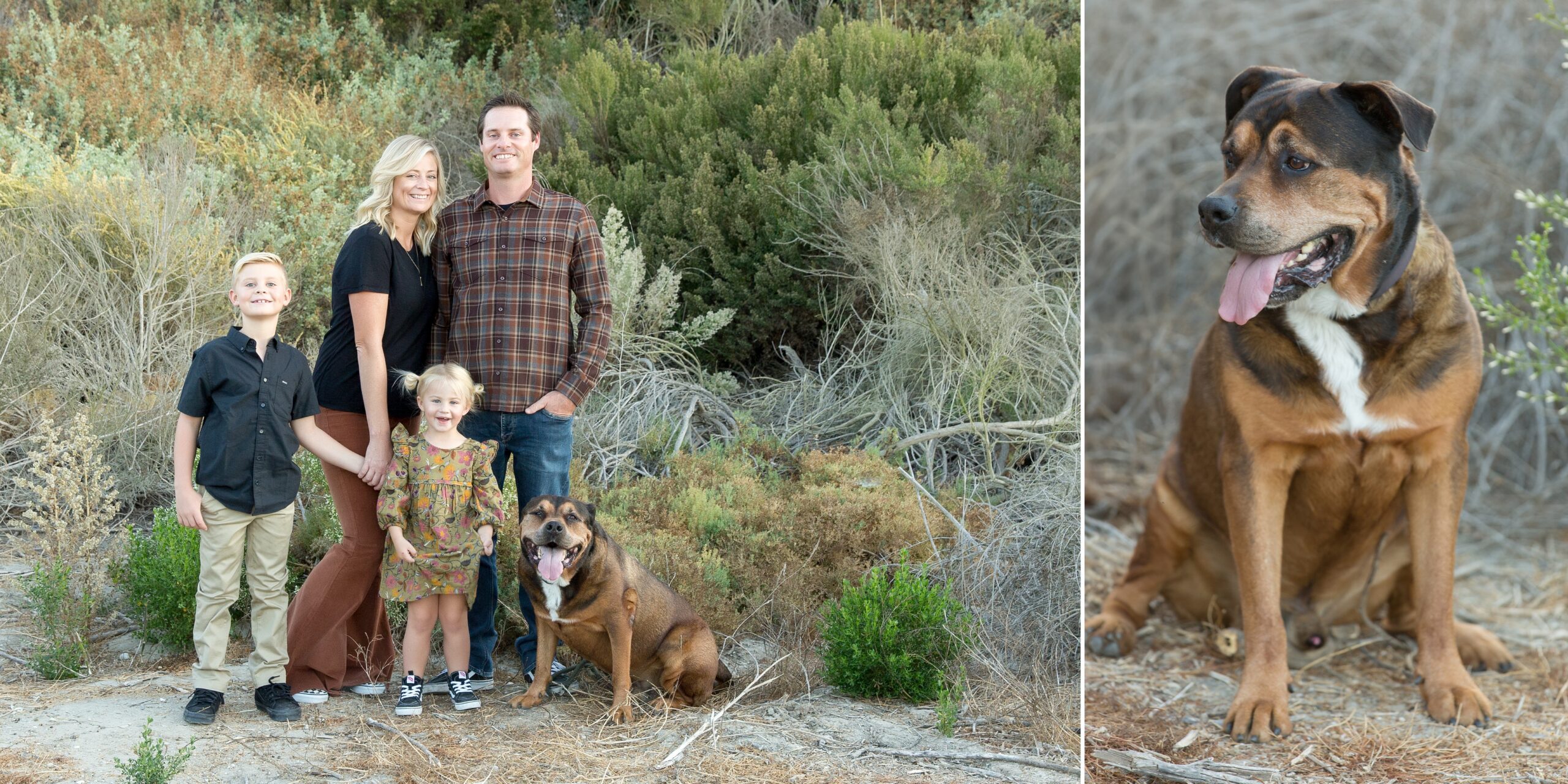 Family photo canvas art design by Gilmore Studios photographer

Large family portrait displayed on living room wall Gilmore Studios