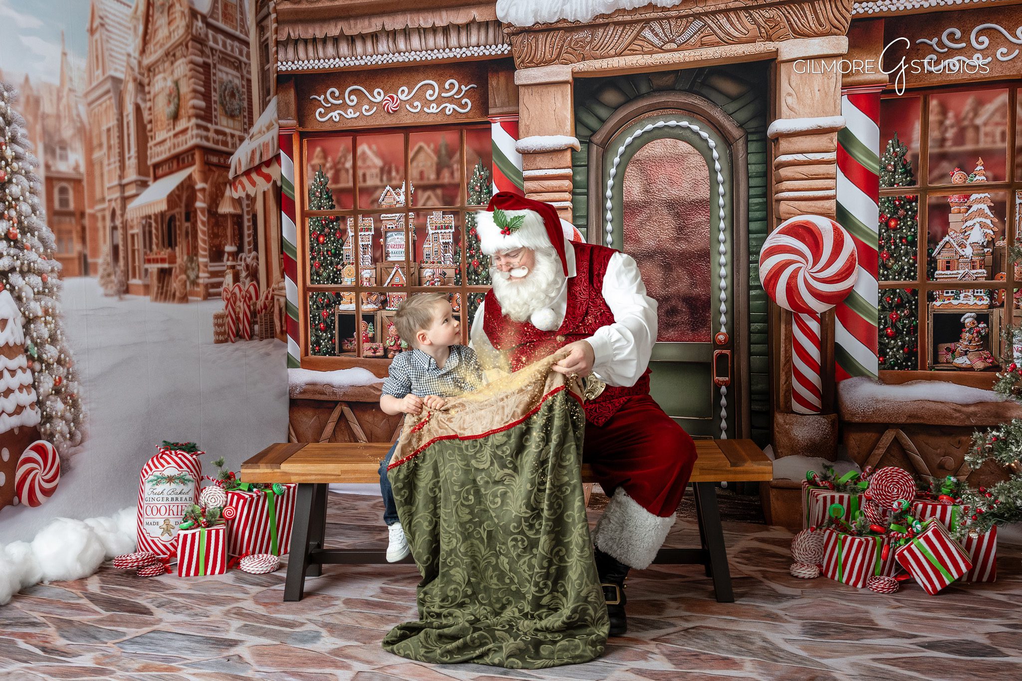 Scottsdale Santa session photographer creating festive holiday images.

Phoenix Christmas photographer capturing joyful Santa moments.