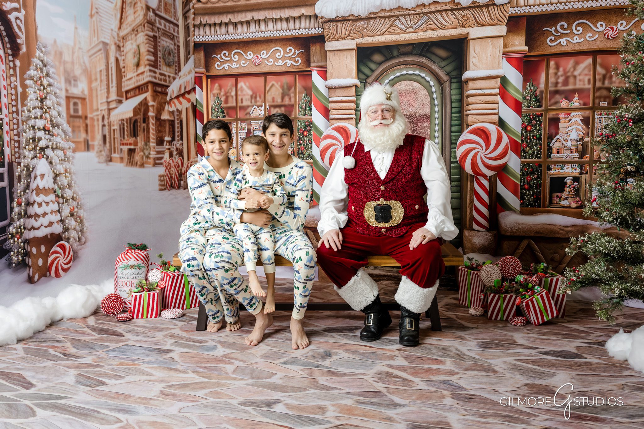 Christmas family photographer capturing siblings with Santa.

Santa portrait photography featuring soft natural light and holiday decor.