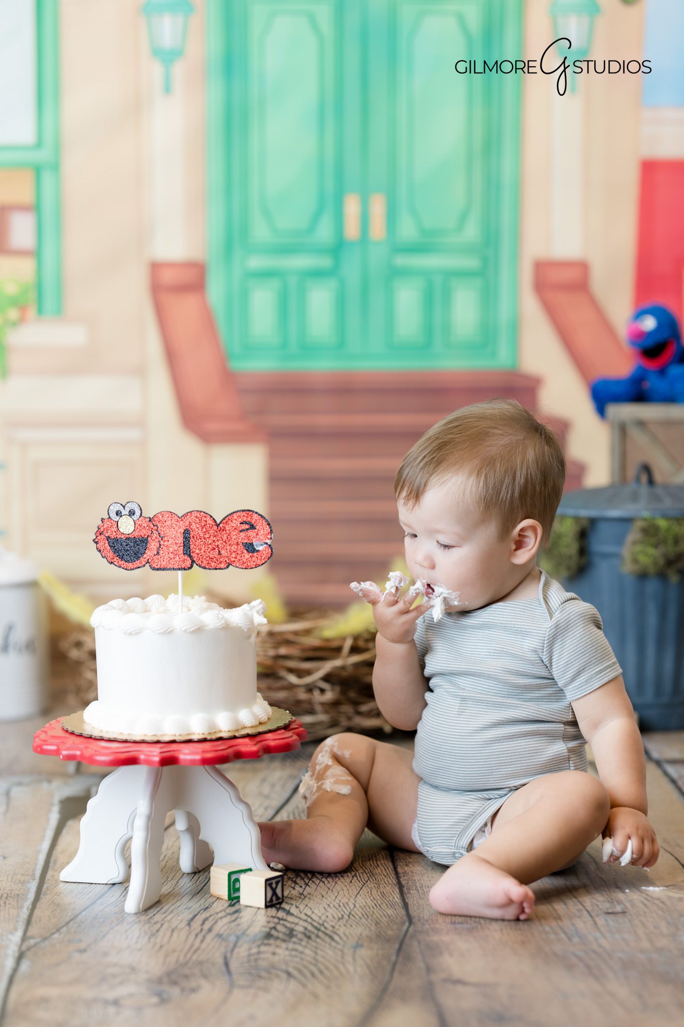 One year old portrait photographer documenting playful moment.

Sesame Street photography with bright red Elmo backdrop.