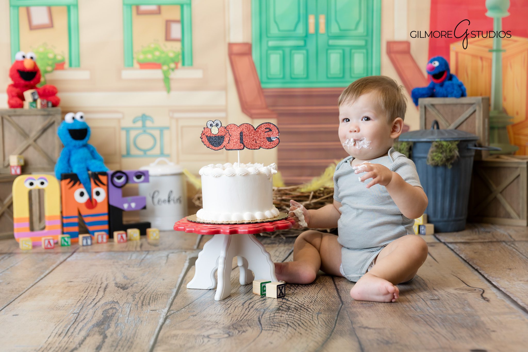 Elmo cake smash portrait photographer in Orange County.

Sesame Street photography with baby exploring cake.