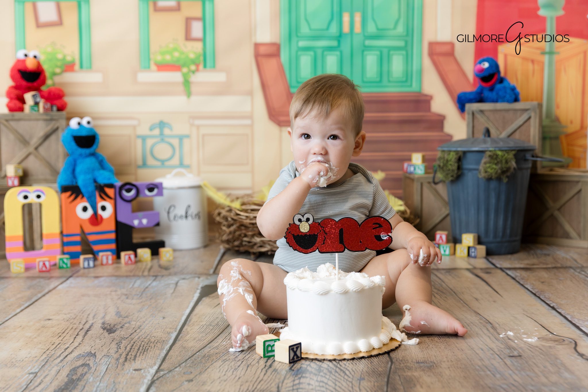 Elmo themed baby portraits taken in professional studio.

Photographer capturing joyful first birthday cake smash.