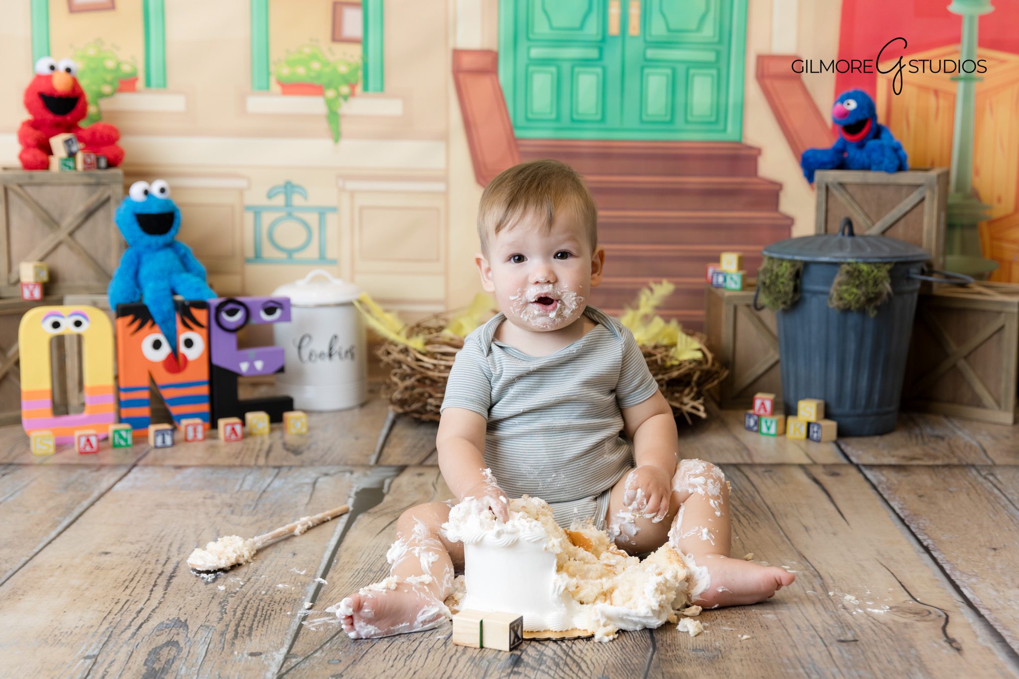 Baby photography with Sesame Street banner and balloons.

One year portrait photographer capturing fun cake moment.