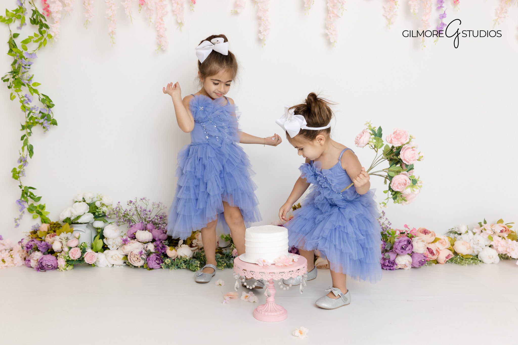 Professional Frozen session photographer capturing studio magic.

Frozen birthday photoshoot with soft blue studio lighting.