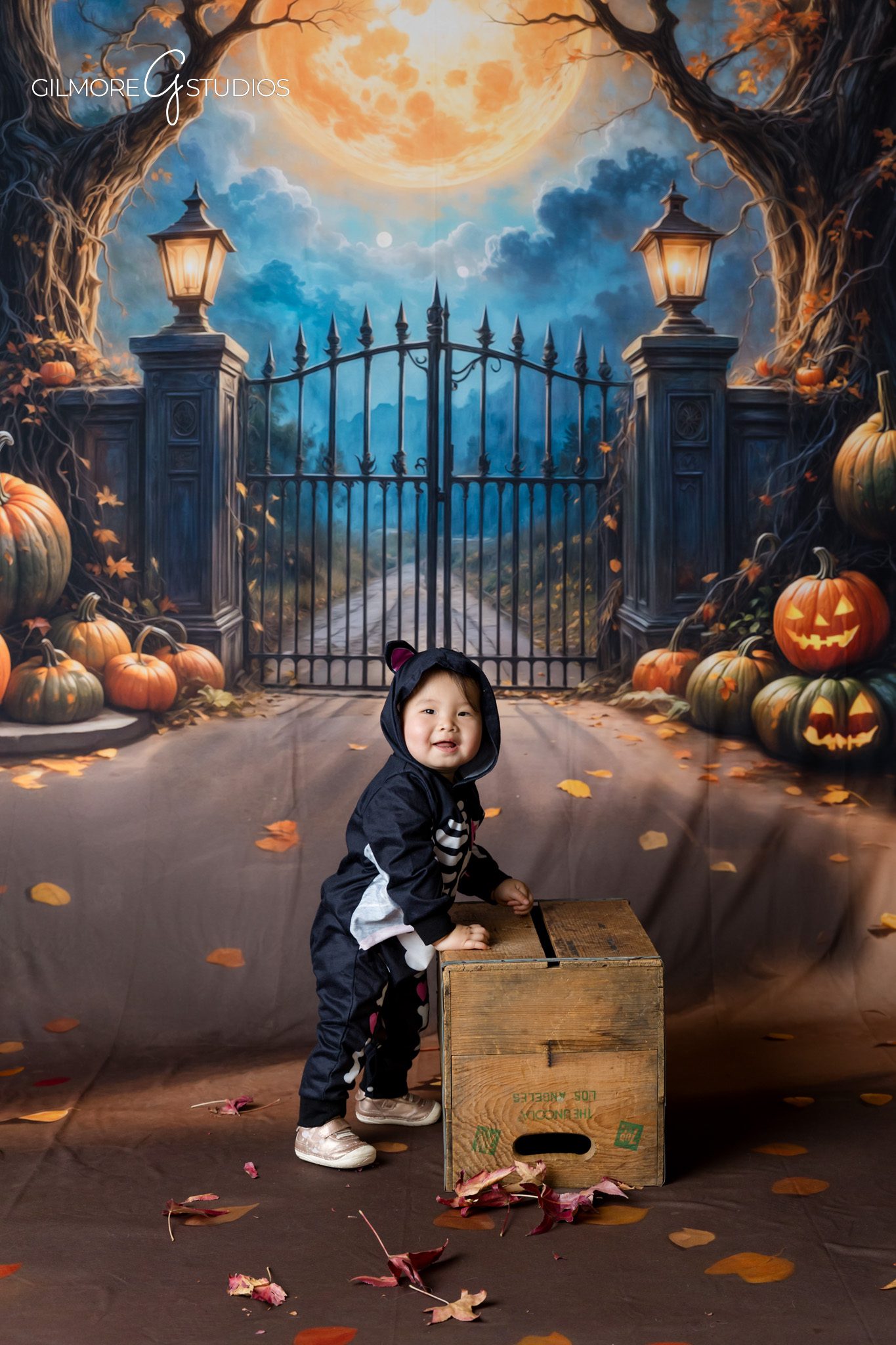 Professional Halloween portrait photography in a studio setting
Client appreciation photography event featuring themed Halloween portraits