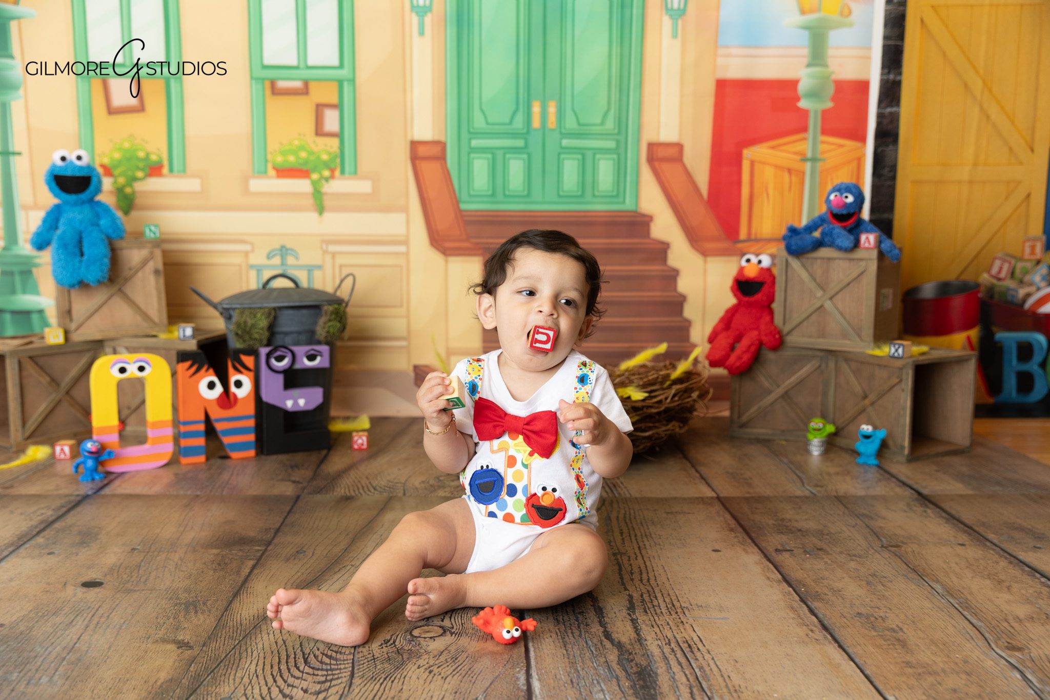 One year old baby birthday photography portrait in Orange County studio

Milestone cake smash photography portrait Newport Beach professional photographer