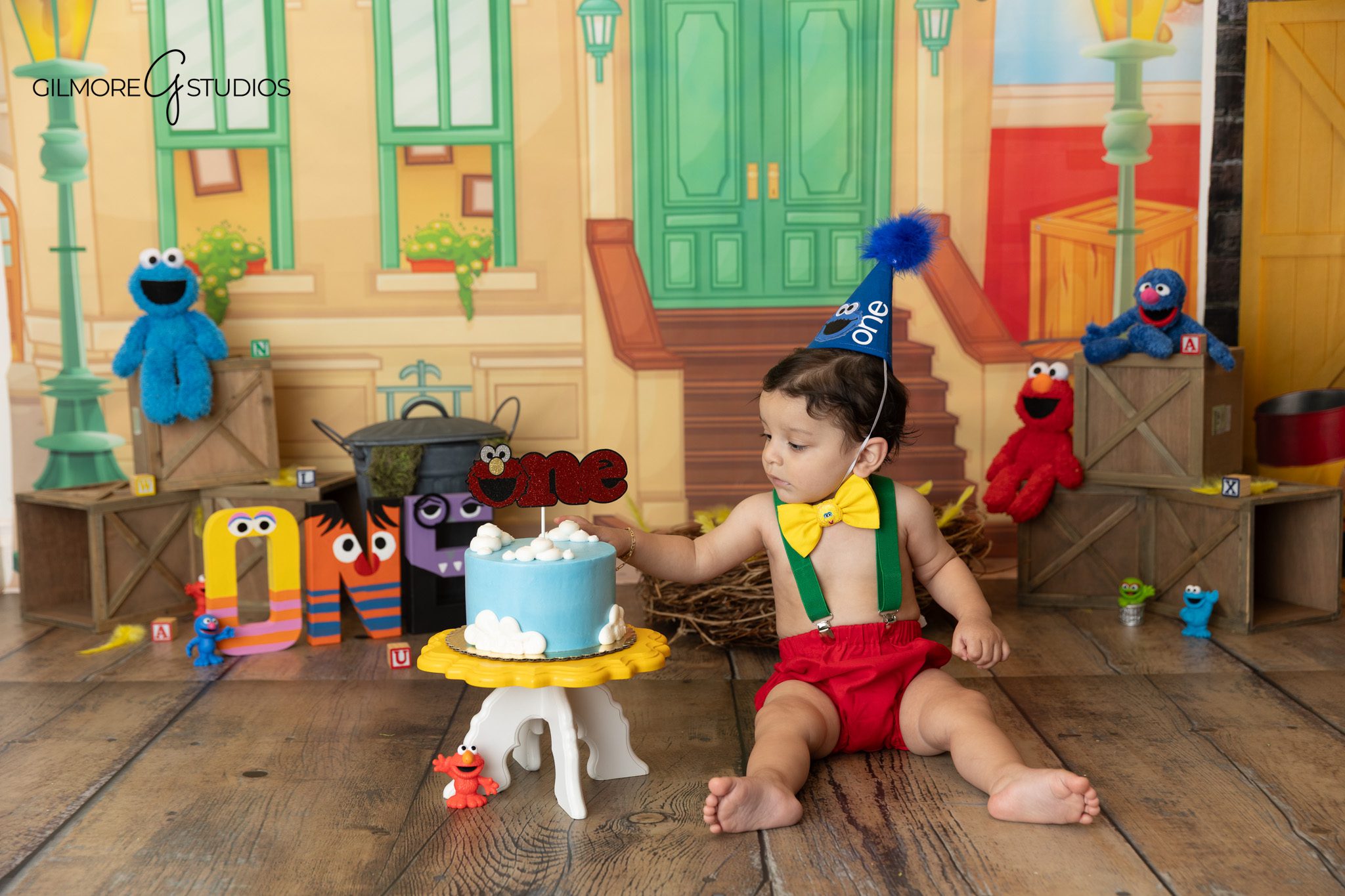 Sesame Street inspired first birthday portrait by Orange County cake smash photographer

Bright colorful cake smash photography portrait in Orange County studio