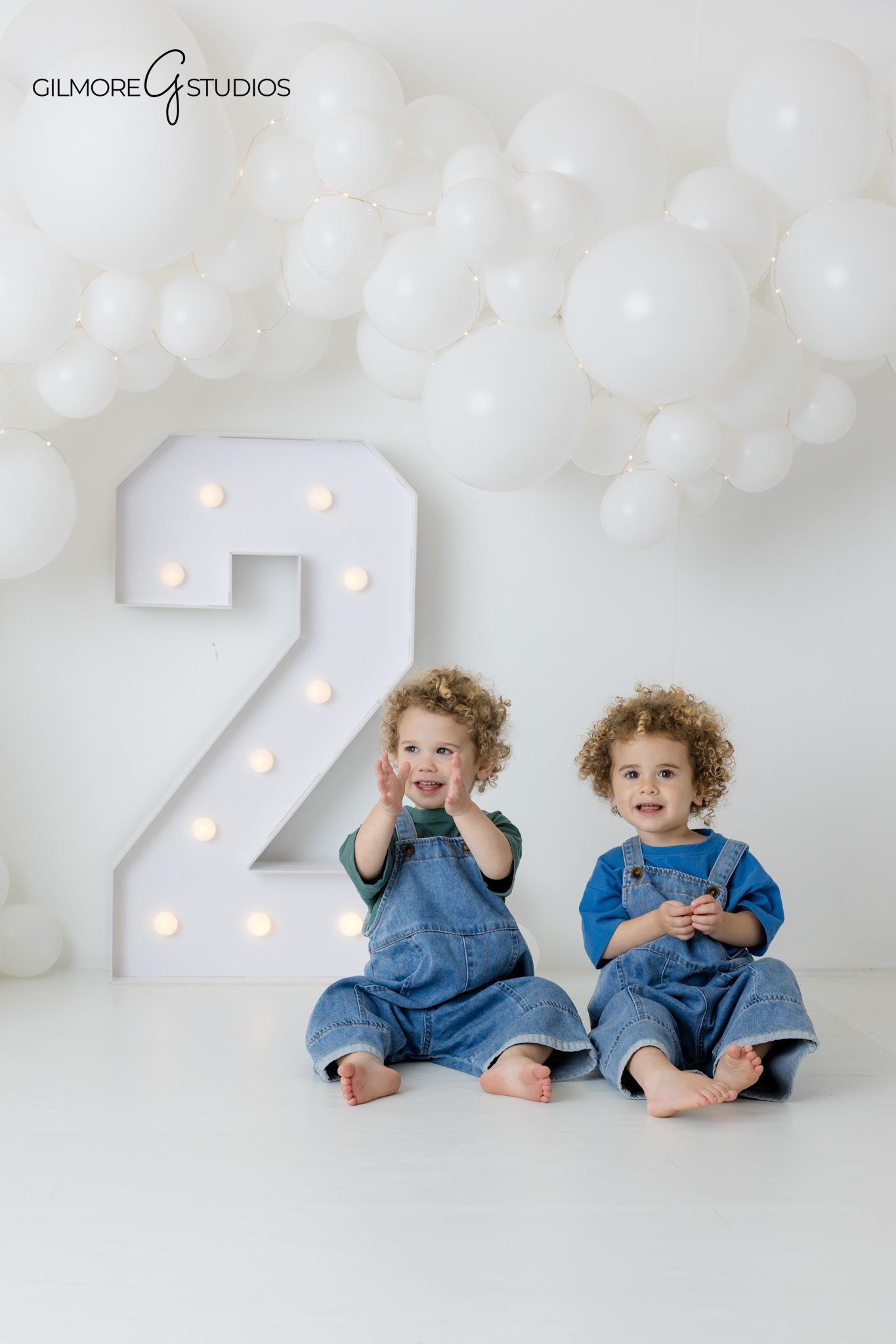 Toddler birthday portrait photography session

Elegant birthday photography portrait