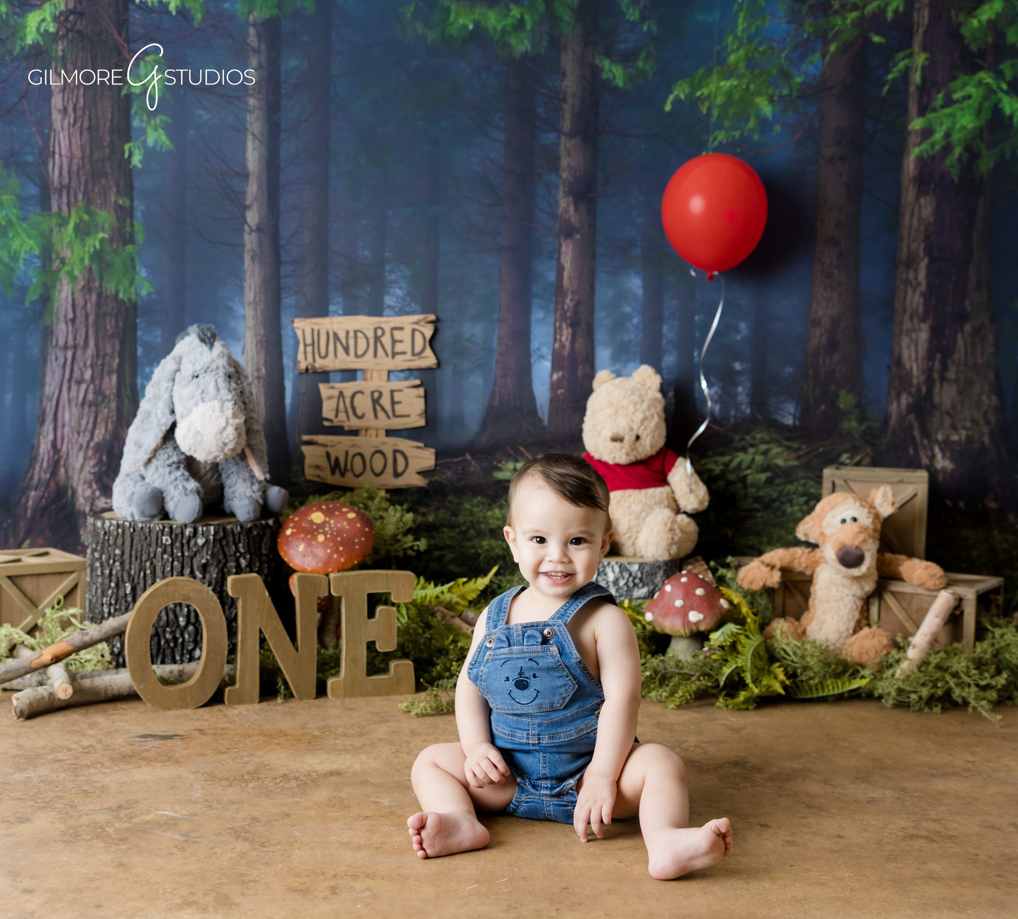 First birthday cake smash Winnie the Pooh themed photoshoot
Gilbert AZ cake smash photographer woodland baby session