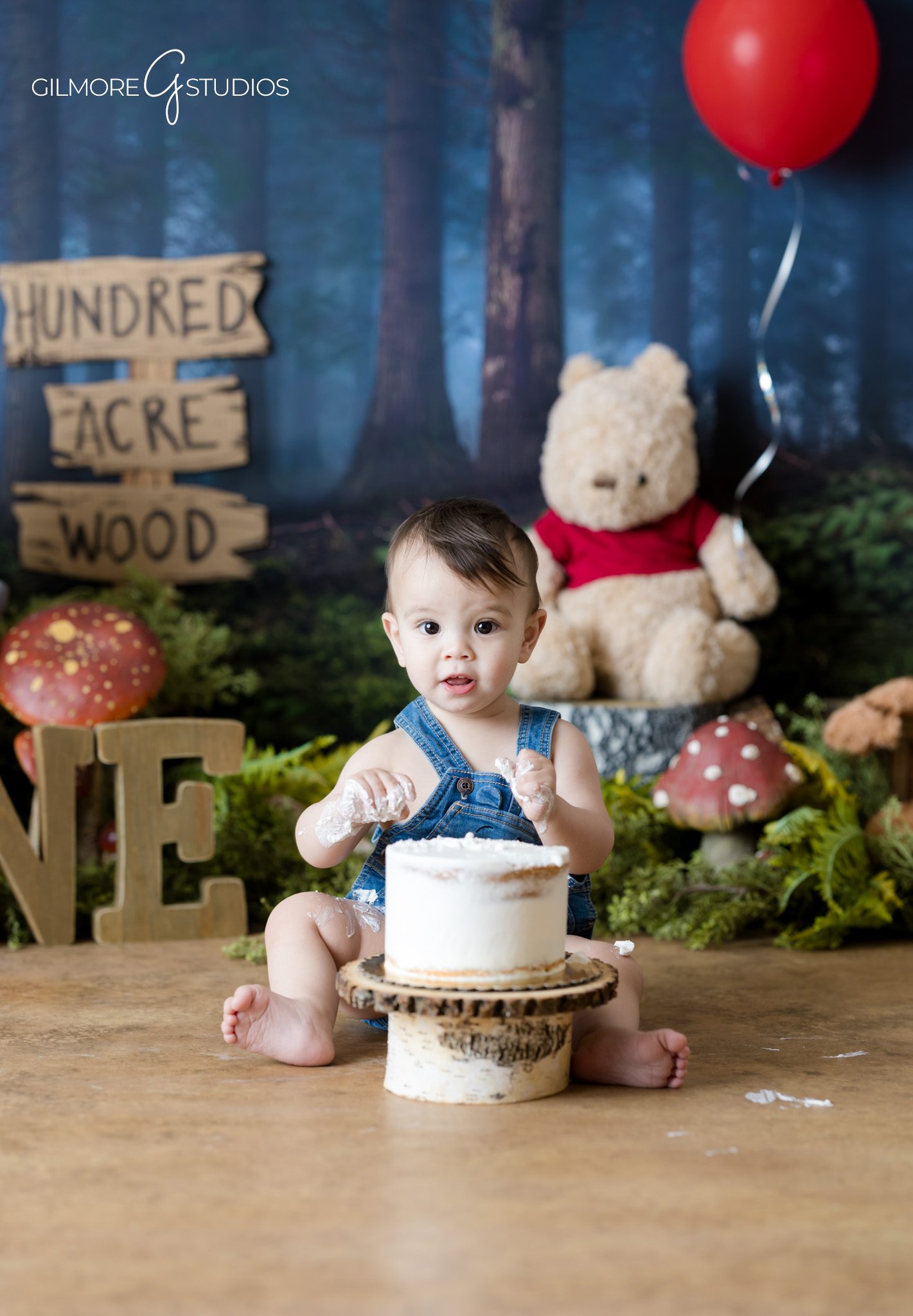 Gilbert Arizona baby photographer cake smash woodland theme
Winnie the Pooh birthday photoshoot Gilbert AZ baby session