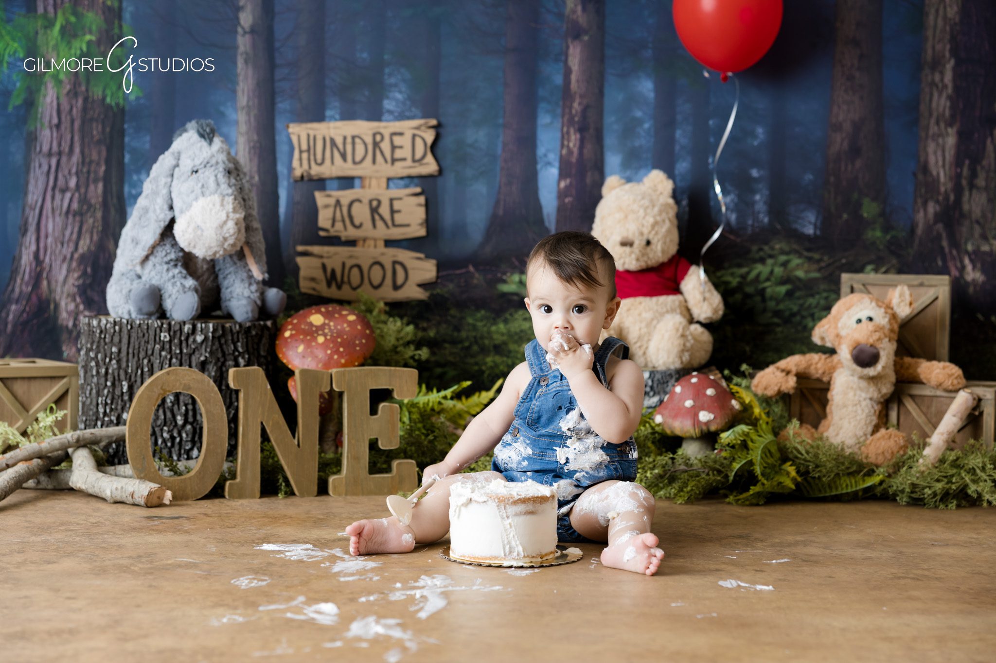 One year old cake smash natural reactions baby photos
Cake smash baby photography Gilbert Arizona playful moments