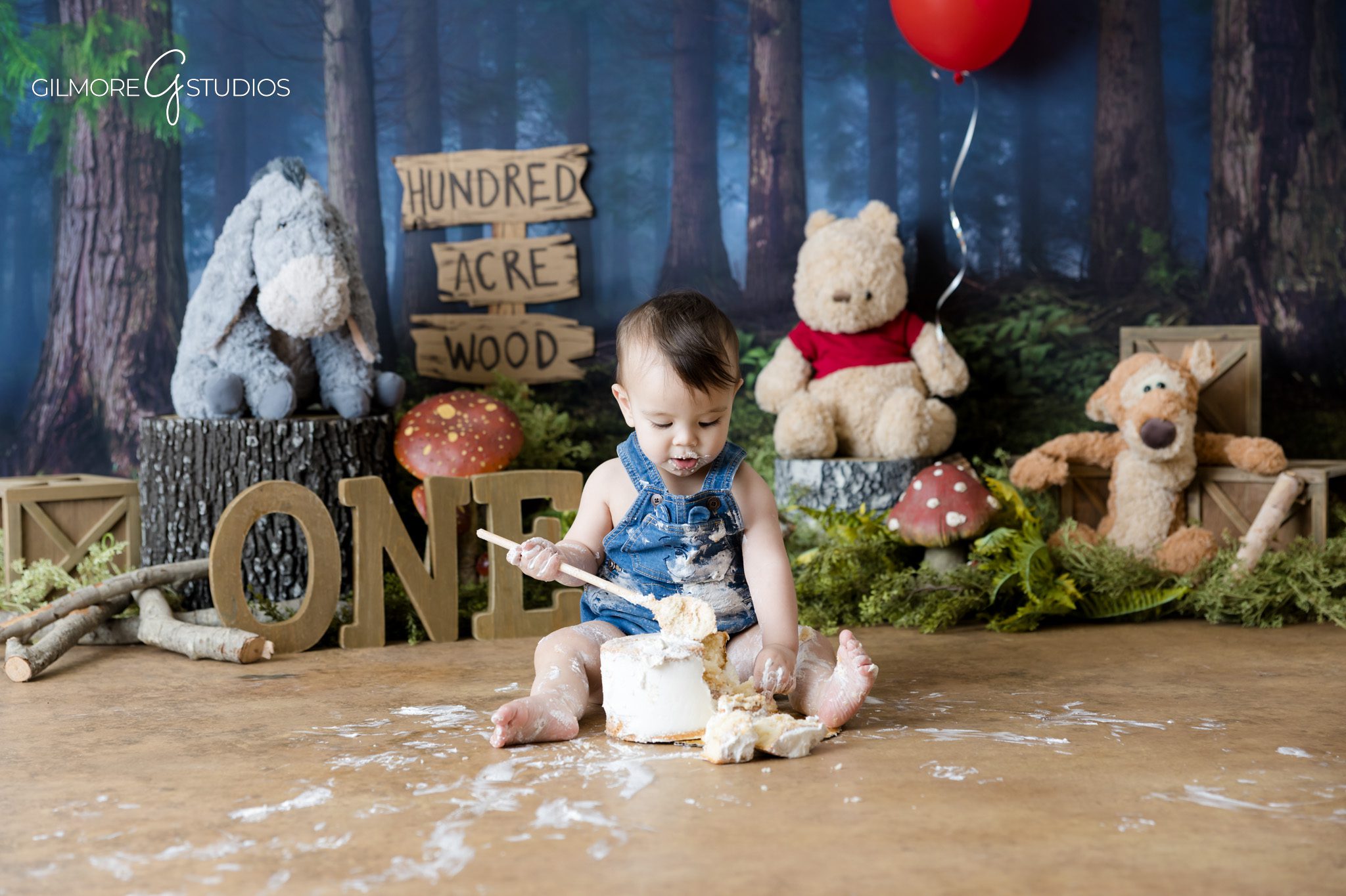 Winnie the Pooh cake smash Gilbert AZ first birthday session
Hundred Acre Wood cake smash baby photography Gilbert Arizona