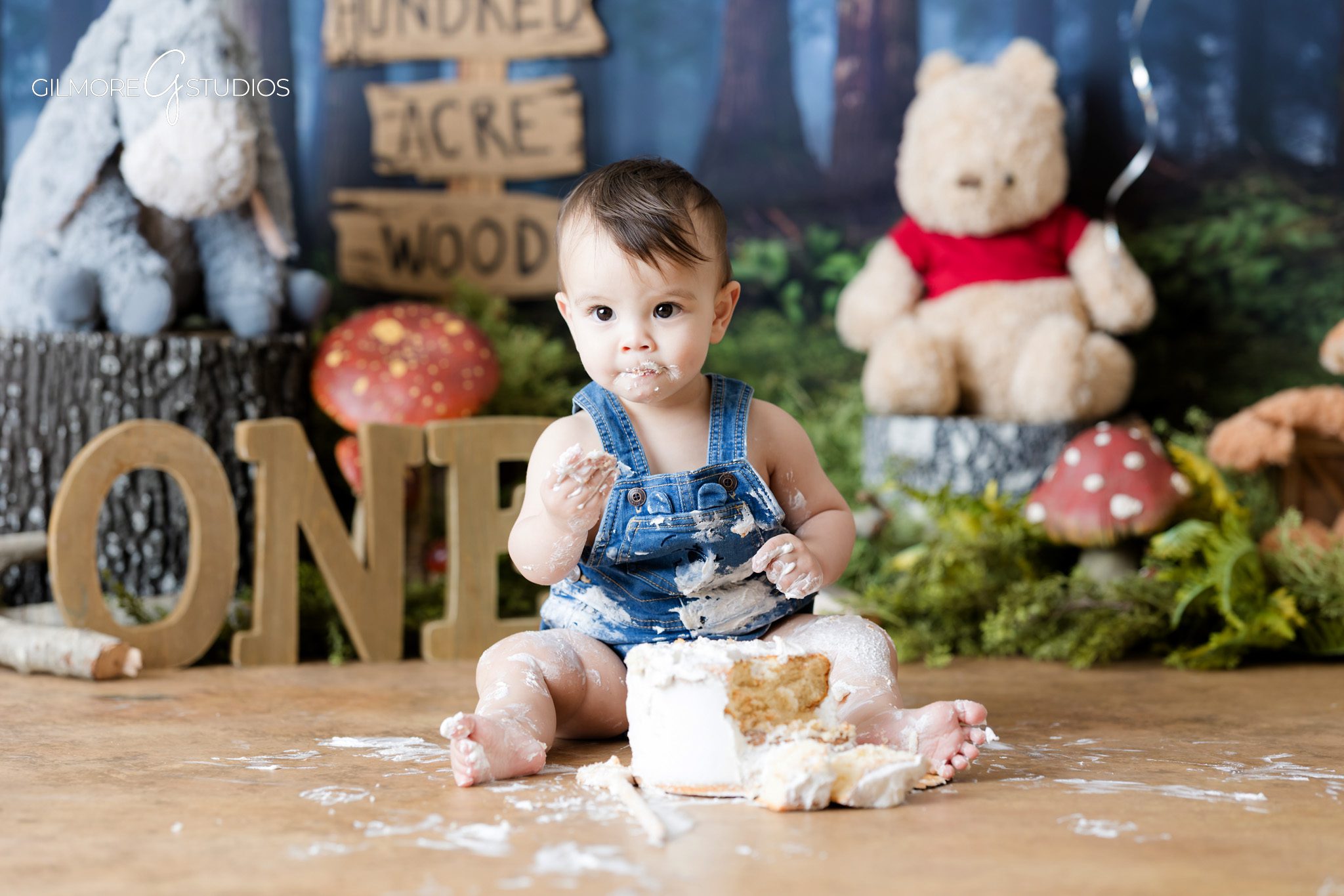 Woodland cake smash decor Gilbert AZ baby photography
Winnie the Pooh inspired baby session Gilbert Arizona