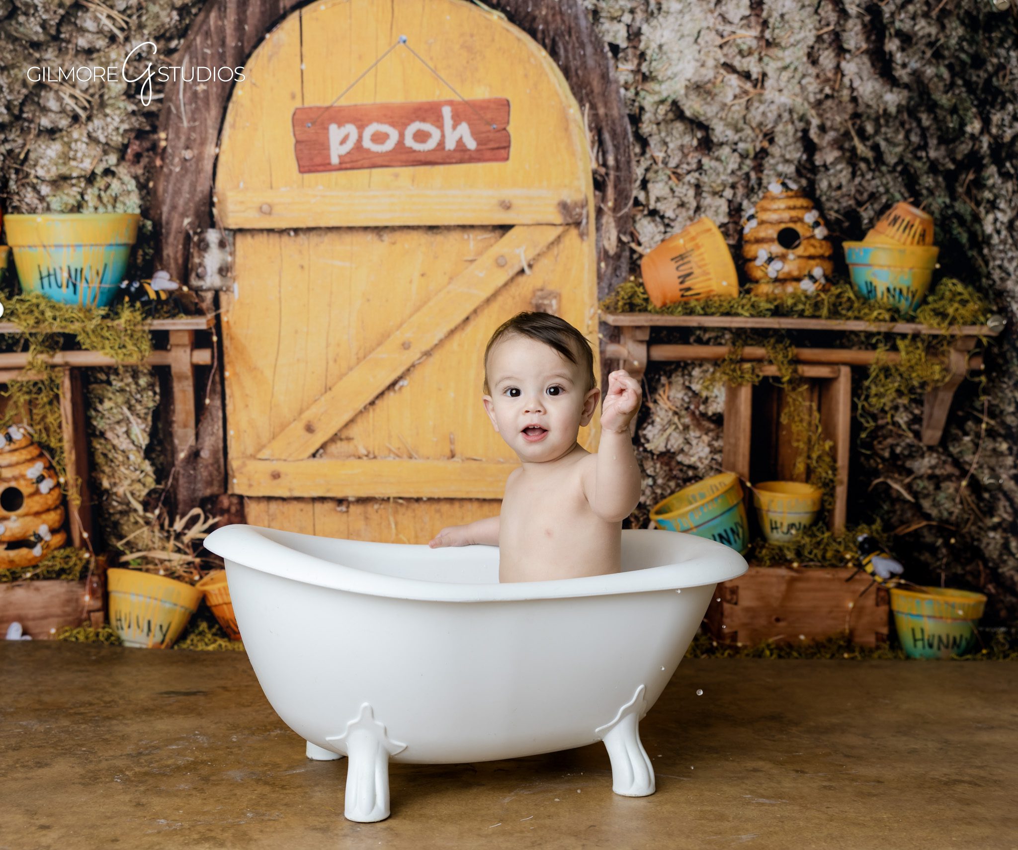 Gilbert Arizona cake smash styling Winnie the Pooh theme
Creative cake smash setup Gilbert AZ baby photos