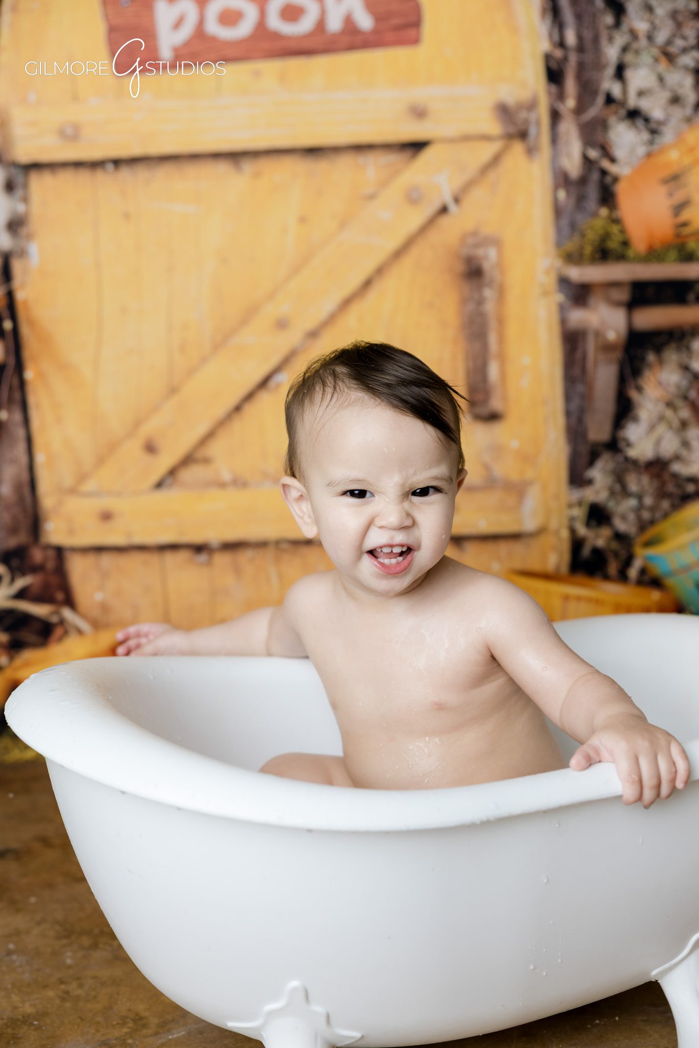 Woodland themed first birthday photos Gilbert Arizona
Cake smash backdrop Hundred Acre Wood baby session