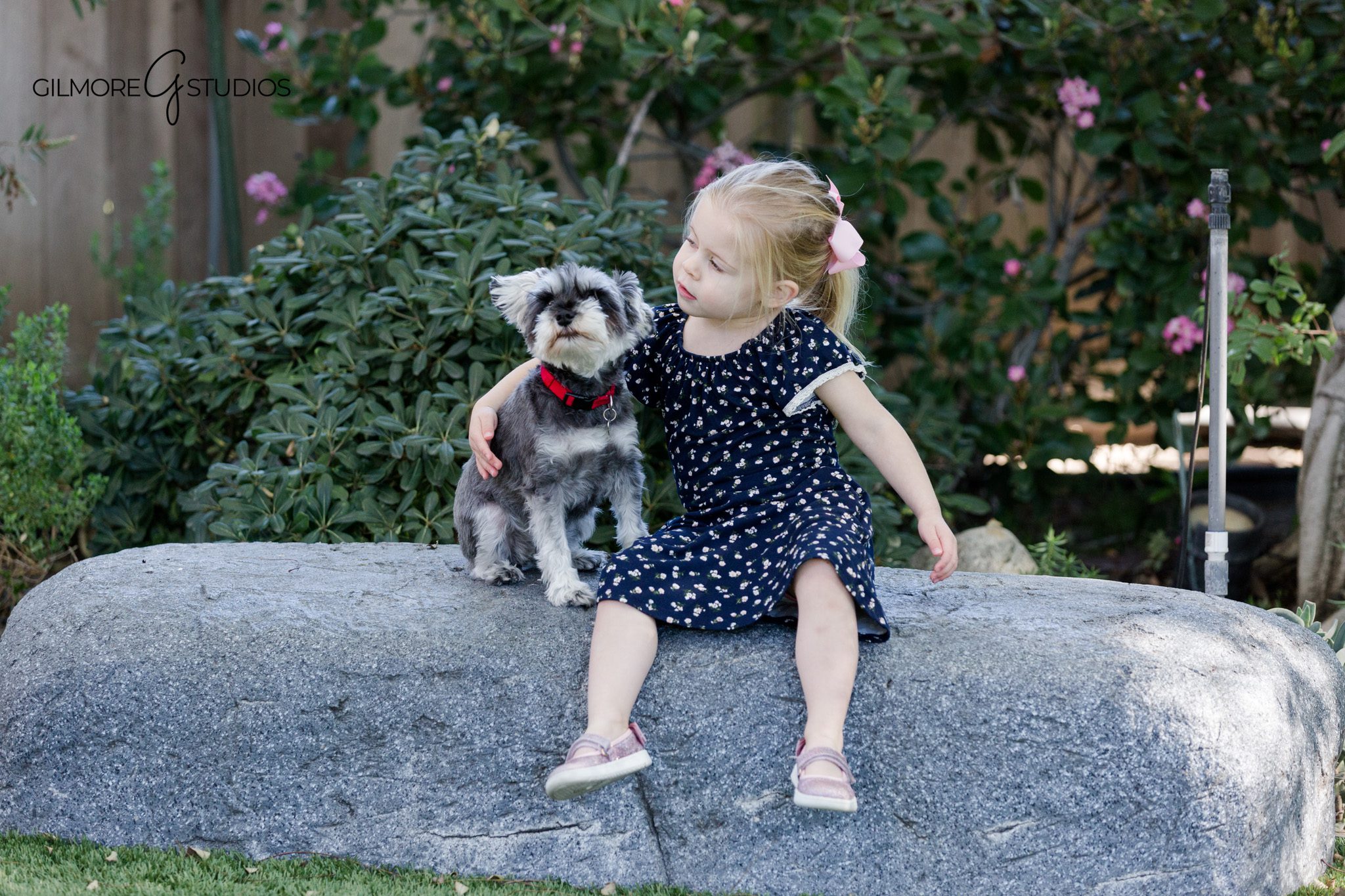 Backyard family portraits with soft neutral outfits and garden setting
Family photographer scouting backyard light for an at-home session