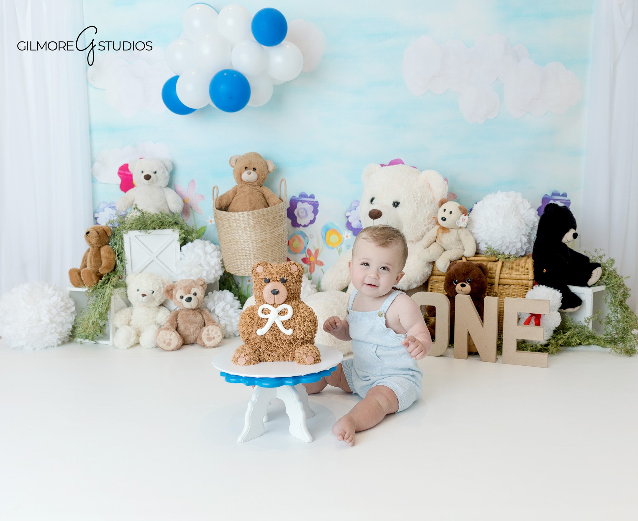 First birthday cake smash with teddy bear cake in Queen Creek AZ
Baby boy posing with teddy bear cake and stuffed animal backdrop