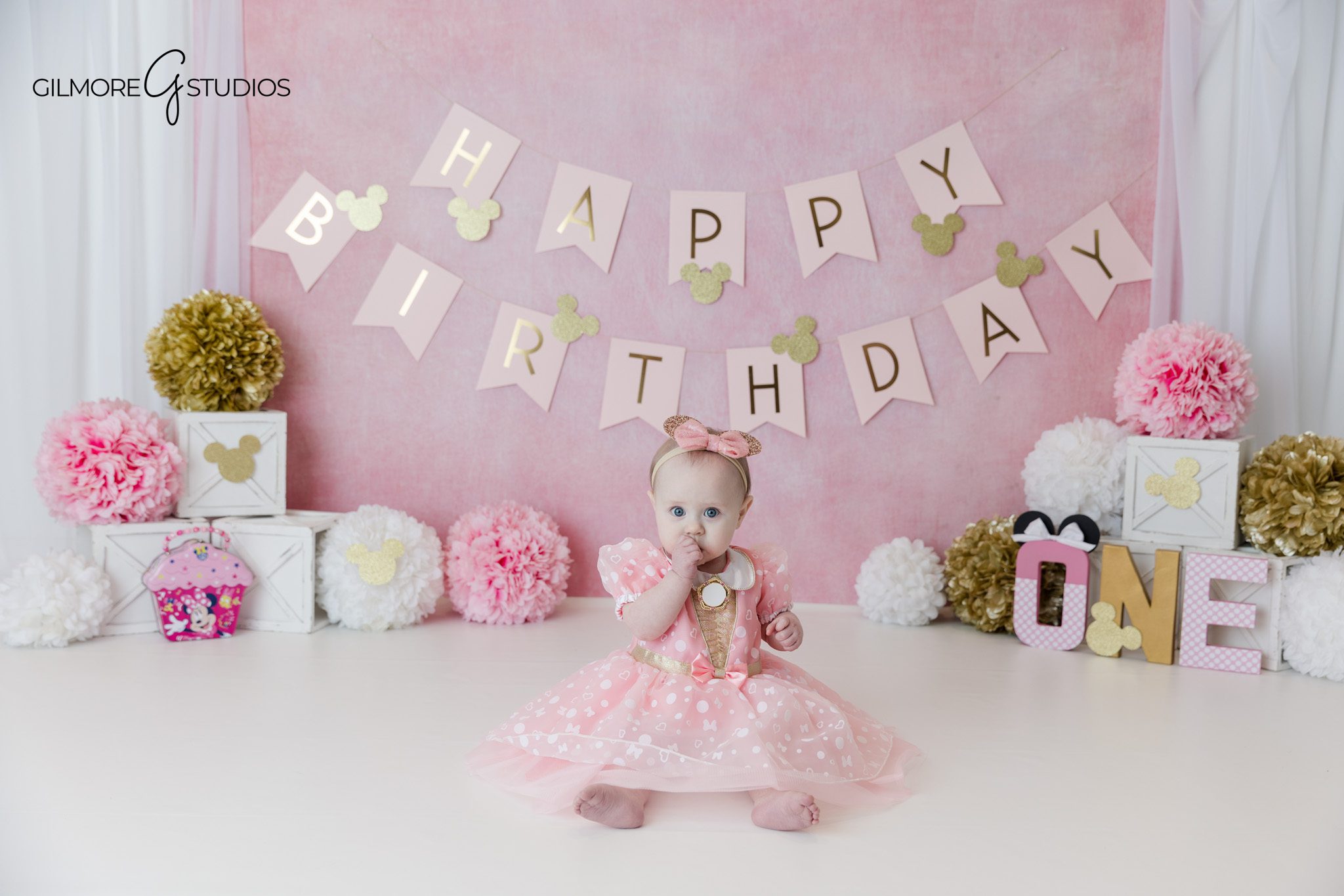 First birthday milestone portrait before cake smash session
Baby girl sitting in front of pink birthday banner